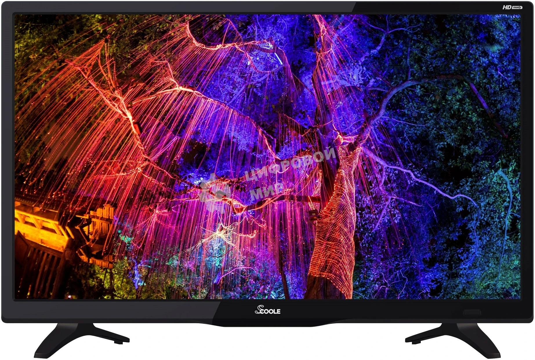Телевизор Scoole 24