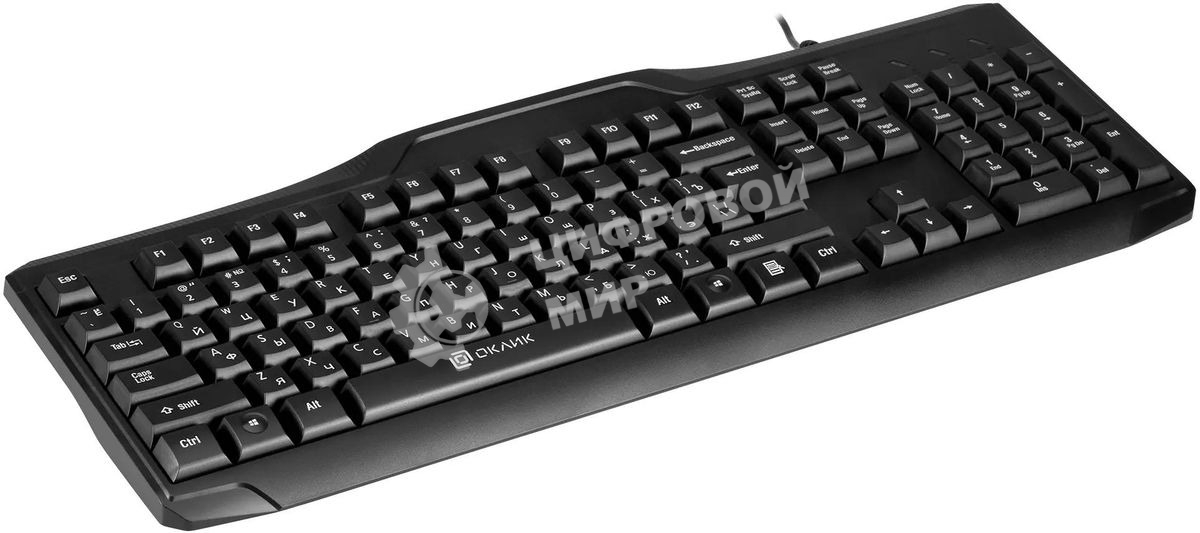 Клавиатура проводная Oklick 170M черный USB (855272)