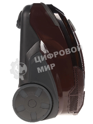 Пылесос моющий Thomas Parkett Master XT коричневый, 325/1700 Вт, уборка сухая/влажная/сбор жидкости, пылесборник контейнер 1,8 л