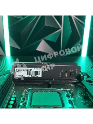 Оперативная память Patriot Signature, DDR5, 32GB (1x32 GB), 5600 MHz, CL46, DIMM