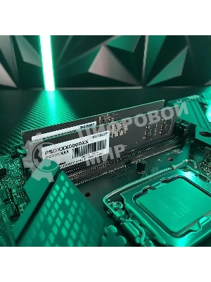 Оперативная память Patriot Signature, DDR5, 32GB (1x32 GB), 5600 MHz, CL46, DIMM