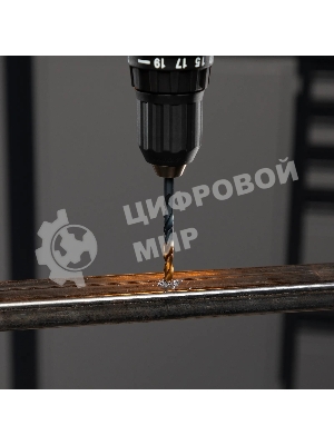 Набор сверл по металлу Denzel 2-3-4-5-6-8 мм, HSS-Tin, Golden Tip, 6 шт