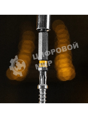 Набор бит Denzel TORX 25х50, сталь S2, шестигранный профиль, 10 шт.