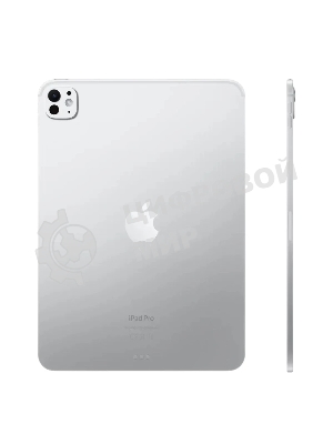 Планшет Apple iPad Pro 13