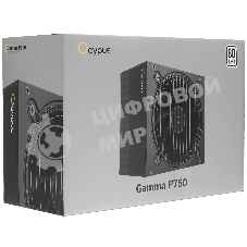 Блок питания 750W Ocypus Gaммa P750 BK (ATX, 80 PLUS, APFC, 20+4 pin, 120мм fan, PCI-E 6+2Px4, 6xSATA) (Gaммa-P750-W1HDBK024X-EU)