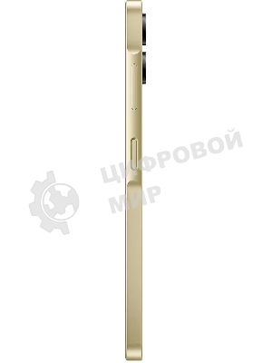 Смартфон Samsung Galaxy A06 SM-A065F 4/64Gb, золотистый