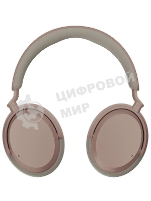 Гарнитура мониторные Sennheiser Accentum Wireless серый/коричневый беспроводные bluetooth оголовье (800145 ACAEBT TAUPE)