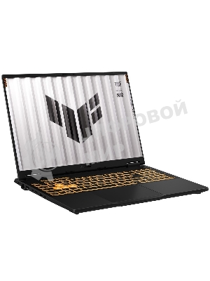 Ноутбук Asus TUF Gaming F16 FX608JPR-RV211/16