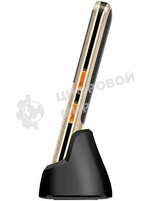 Мобильный телефон BQ 2006 Comfort золотой/черный