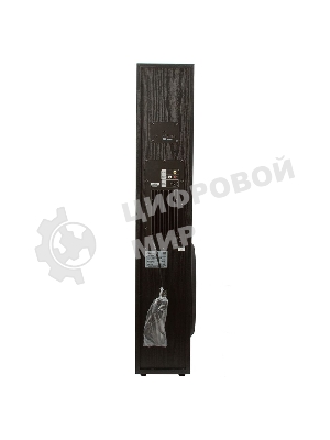 Колонка Eltronic 10