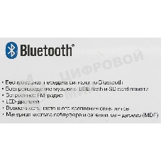 Акустическая система SVEN AC MS-2055, черный (55Вт, FM-тюнер, USB/SD, дисплей, ПДУ, Bluetooth)
