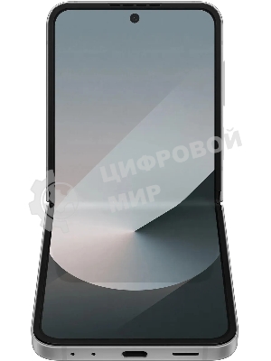 Смартфон Samsung Galaxy Z Flip6 5G SM-F741B, 12/512Gb, серый