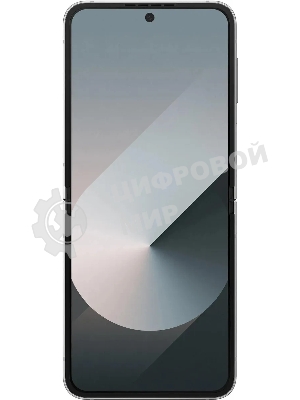 Смартфон Samsung Galaxy Z Flip6 5G SM-F741B, 12/512Gb, серый