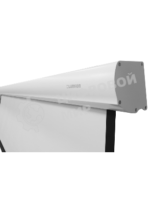 Экран с электроприводом Lumien Master Business Control LMBC-100109 275х412 см, (раб.область 240х384 см) (178
