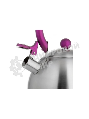 Чайник для плиты Lara LR00-62