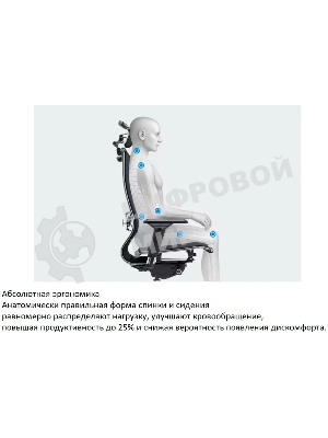 Кресло компьютерное ErgoLife Set 7/подл.131/осн.Synchro 052, черный 219.16.1.403 z316738281