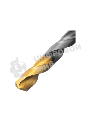 Набор сверл по металлу Denzel 1-10 мм, Р6М5-TiN, Golden Tip, 10 шт 723001