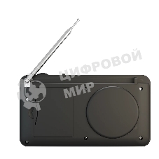 Радиоприемник SOUNDMAX SM-RD2116 черный