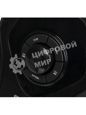 Акустическая система SVEN AC MS-2055, черный (55Вт, FM-тюнер, USB/SD, дисплей, ПДУ, Bluetooth)