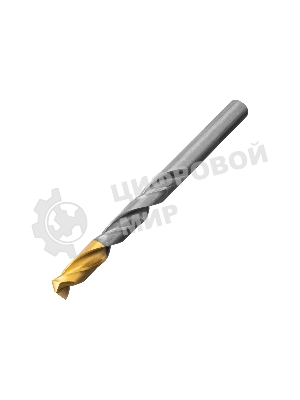 Набор сверл по металлу Denzel 1-10 мм, Р6М5-TiN, Golden Tip, 10 шт 723001