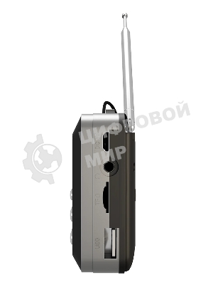 Радиоприемник SOUNDMAX SM-RD2116 черный