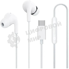 Наушники Xiaomi Type-C Earphones белый M2413E1