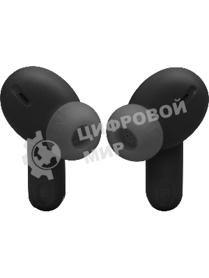 Наушники JBL Tune Beam 2 черный