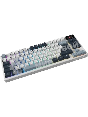 Клавиатура MSI Forge GK600 гибридная, Bluetooth, радиоканал, белый