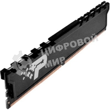 Оперативная память Patriot Signature Premium, DDR4, 32GB (1x32GB), 3200 MHz, CL22, с радиатором, чёрный