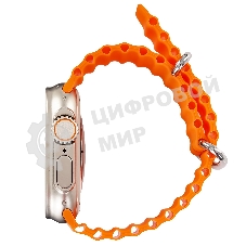 Умные часы BOROFONE (6941991100284) BD3 Gold