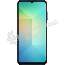 Смартфон Samsung Galaxy A06 SM-A065F 4/64Gb, черный