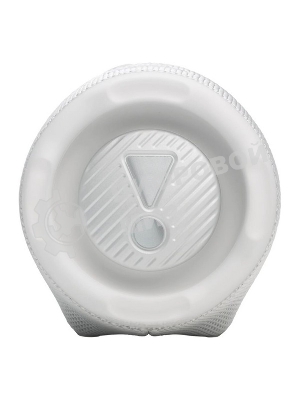 Портативная колонка JBL CHARGE 6 45W белый