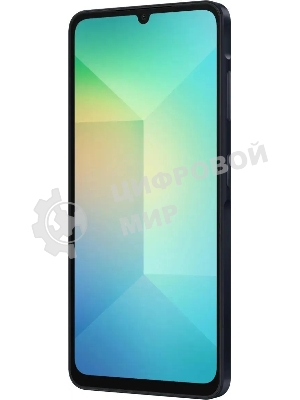 Смартфон Samsung Galaxy A06 SM-A065F 4/64Gb, черный