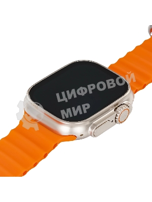 Умные часы BOROFONE (6941991100284) BD3 Gold