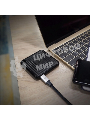 Внешний SSD Silicon Power PC60 USB-C 512Gb SP512GbPSDPC60CK 1.8
