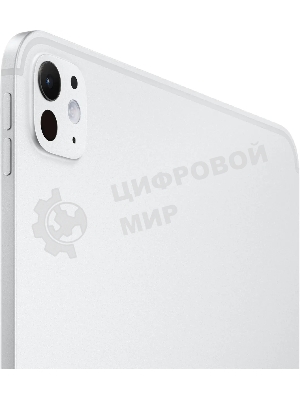 Планшет Apple iPad Pro 2024 A2836 11