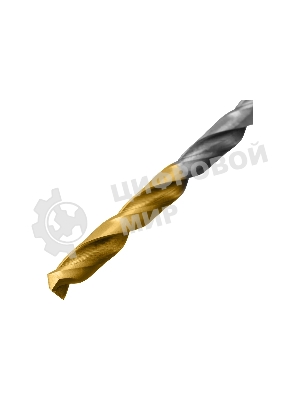 Набор сверл по металлу Denzel 1-10 мм, Р6М5-TiN, Golden Tip, 19 шт