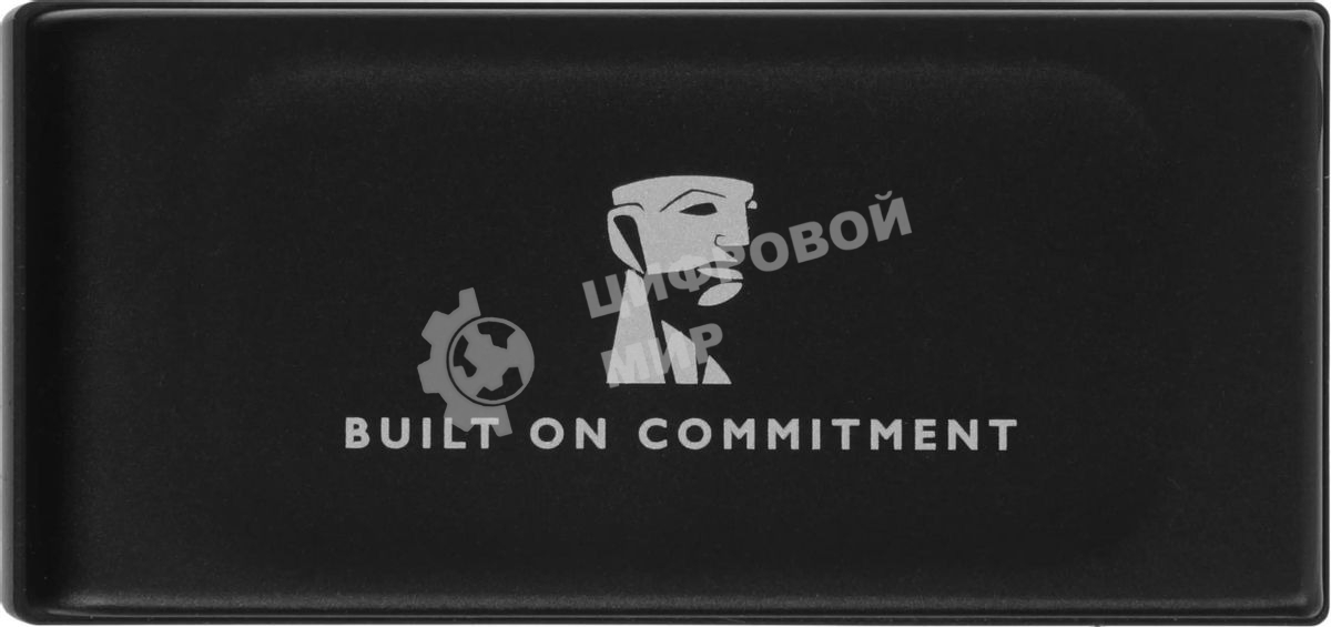 Внешний SSD Kingston XS1000, 2TB, USB 3.2 Gen 2 Type-C, R/W 1050/1000, черный