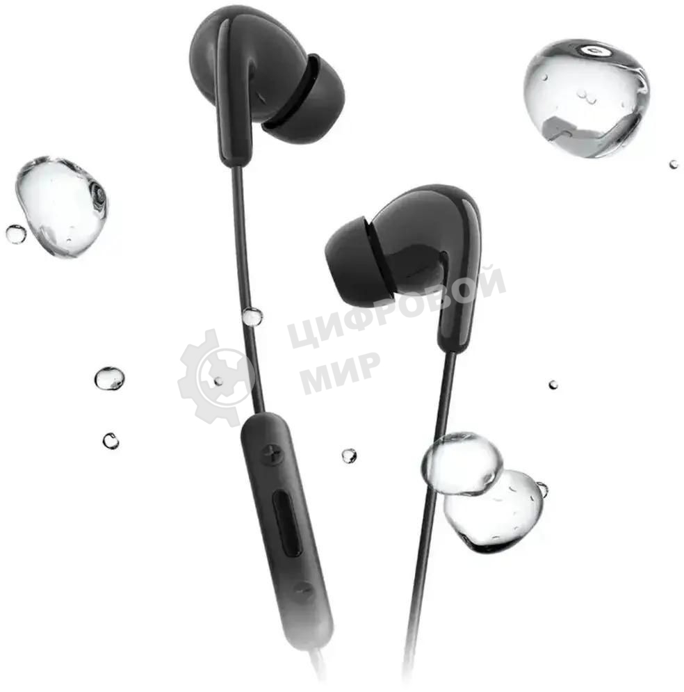 Наушники Xiaomi Type-C Earphones черный M2413E1