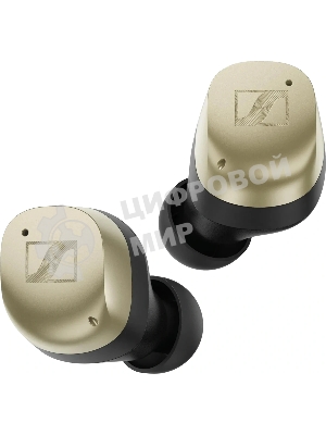 Гарнитура внутриканальные Sennheiser Momentum True Wireless 4 золотистый беспроводные bluetooth в ушной раковине (700441 MTW4 GOLD)