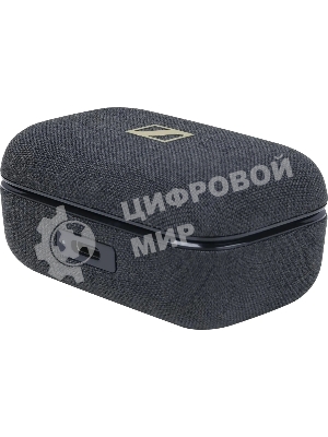 Гарнитура внутриканальные Sennheiser Momentum True Wireless 4 золотистый беспроводные bluetooth в ушной раковине (700441 MTW4 GOLD)