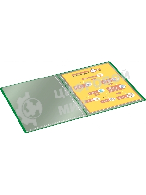 Папка с 30 прозрачными вкладками Silwerhof Eco A4, пластик, 0.5мм, зеленый