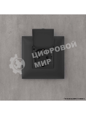 Розетка DKC Avanti 4412013 с крышкой 2P+E со шторками, 