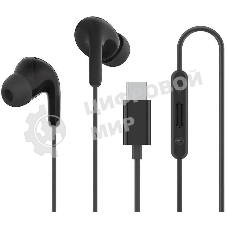 Наушники Xiaomi Type-C Earphones черный M2413E1