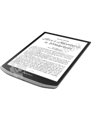 Электронная книга PocketBook Inc Pad X Pro Mist серый (PB1040D-M-WW)