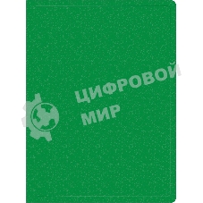 Папка с 30 прозрачными вкладками Silwerhof Eco A4, пластик, 0.5мм, зеленый