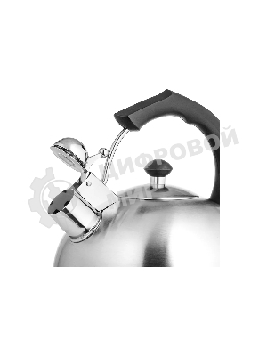 Чайник для плиты металлический Lara LR00-06 (матовый) 4.0 л, индукционное дно 0.3 мм