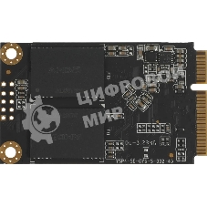 Накопитель SSD AMD Radeon 256Gb Client SSD mSATA 3D NAND Retail R5MS256G5