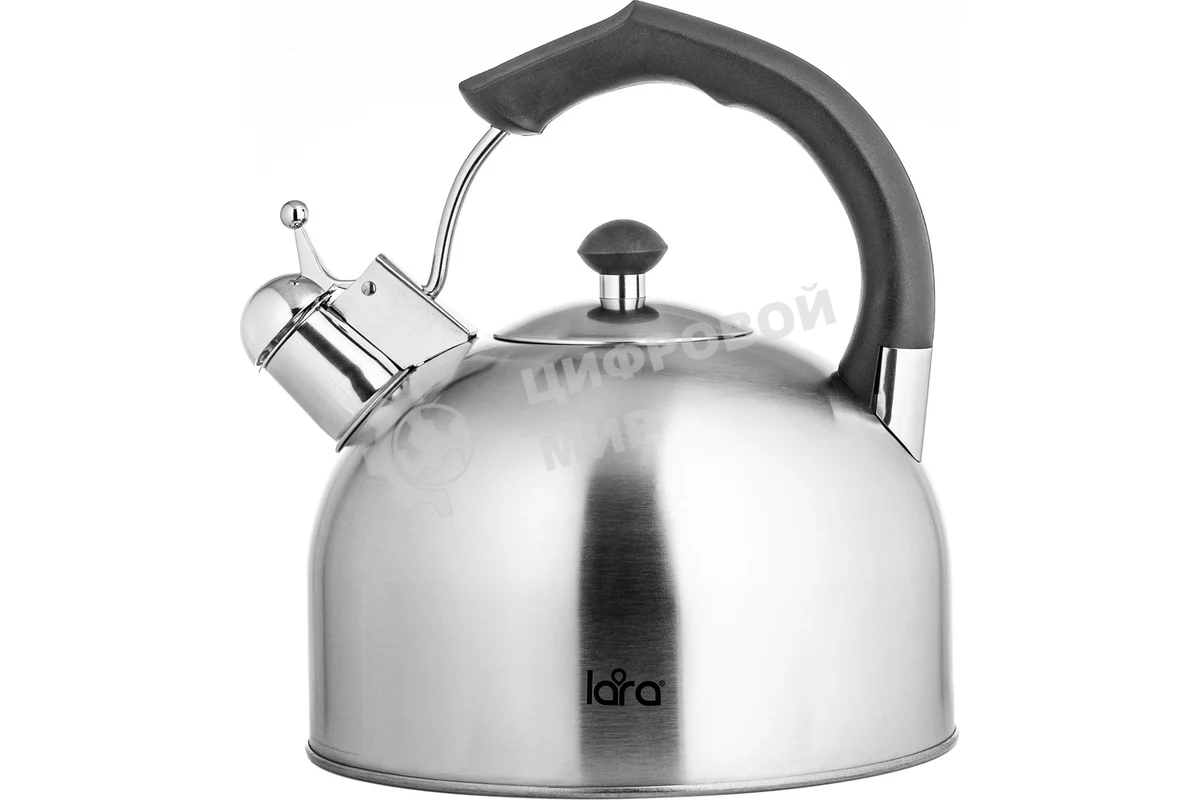 Чайник для плиты металлический Lara LR00-06 (матовый) 4.0 л, индукционное дно 0.3 мм
