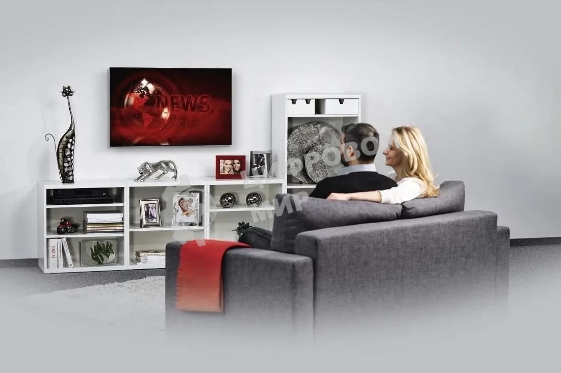 Кронштейн для телевизора Hama 00220805 черный 19